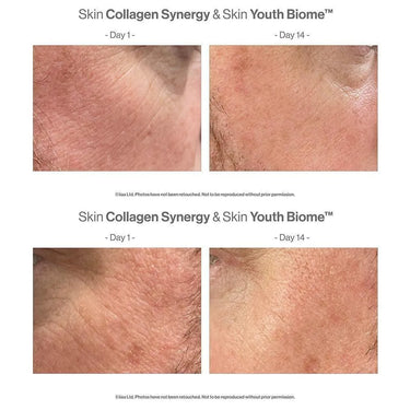 Skin Collagen Synergy - Skin / Scent